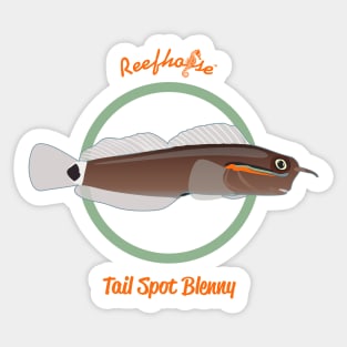 Tail Spot Blenny Sticker